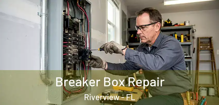 Breaker Box Repair Riverview - FL
