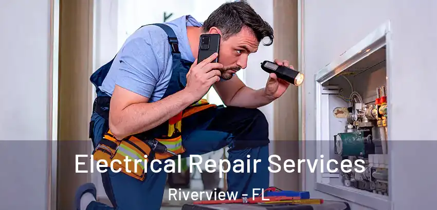 Electrical Repair Services Riverview - FL