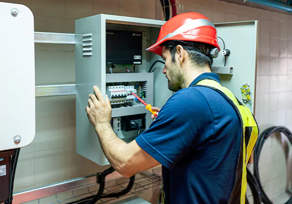 Electrical Panel Upgrade Riverview