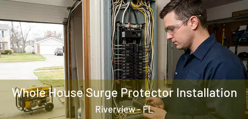 Whole House Surge Protector Installation Riverview - FL